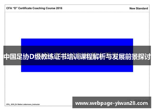 中国足协D级教练证书培训课程解析与发展前景探讨